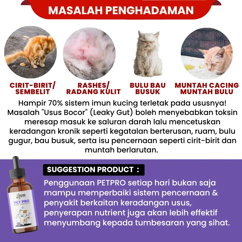PETPRO - Image 7