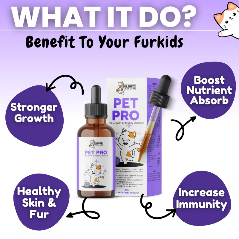 PETPRO - Image 6