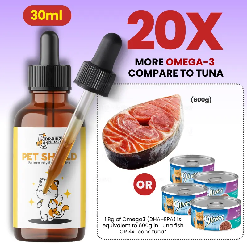 PETPRO - Image 8